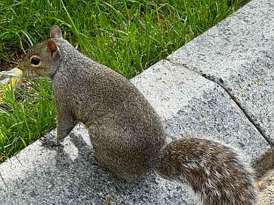 IMG 2290 DxO