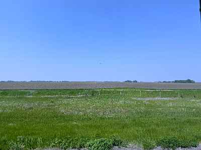 IMG 2543 DxO