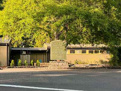 IMG 3235 DxO3