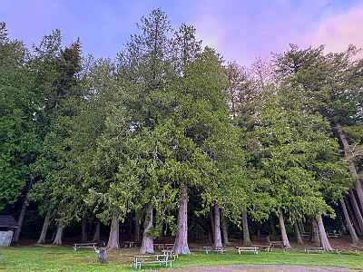 IMG 3304 DxO33