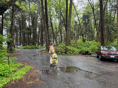 IMG 3398 DxO33