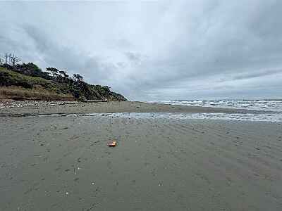 IMG 3488 DxO33